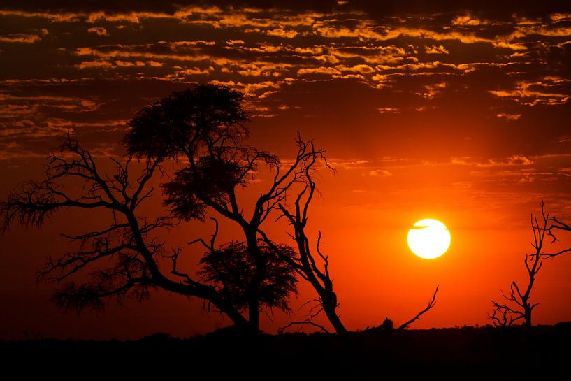 Der Duft von Afrika von Fabrizio Gallo