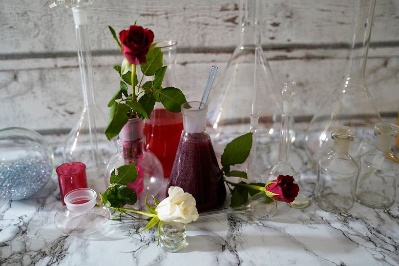 Sparkling wine with elderberry liqueur. by Babetts Bildergalerie