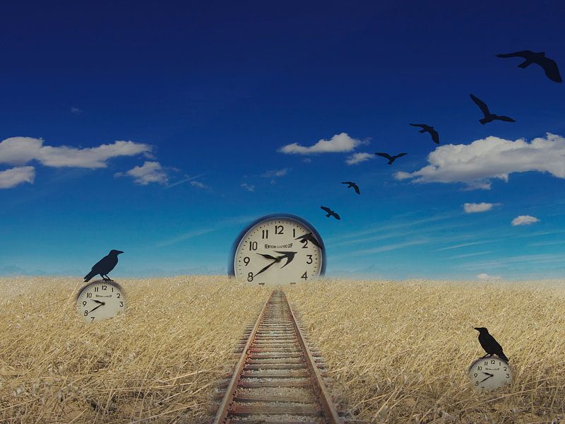 The flight of time by Catherine Fortin