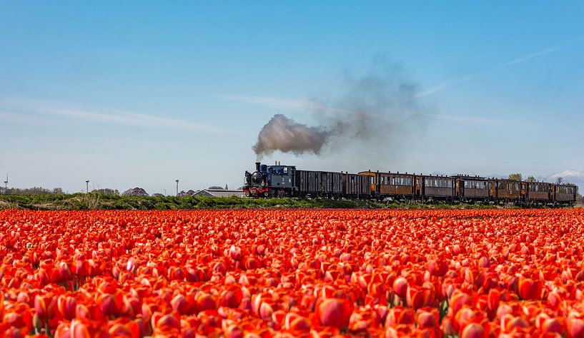 Traditional steam tram in Oostwoud (The Netherlands) by Ardi Mulder