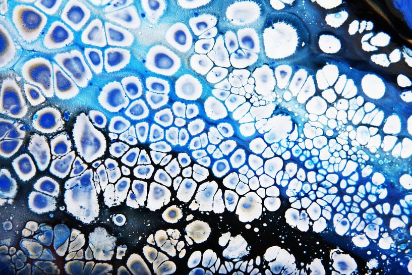 Flocons de neige par Joke Gorter