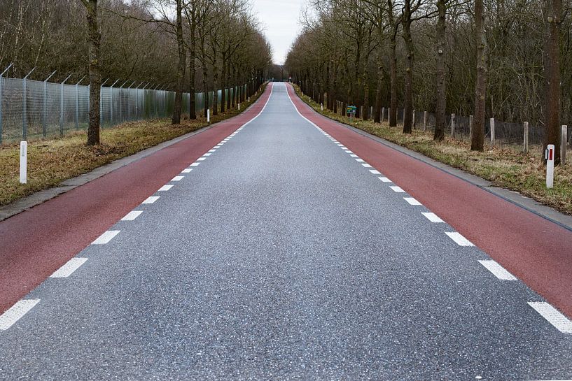 The road to nowhere? von Cilia Brandts