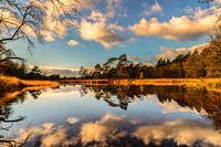 Tagträumen in Reflexionen