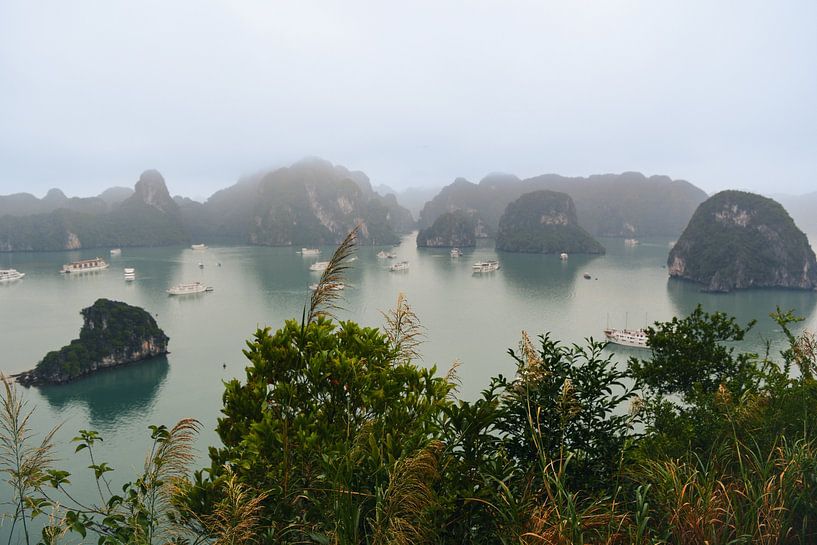 Ha Long Bay, Vietnam von Romana Krijger