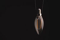 The bulb
