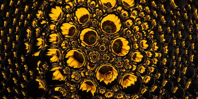 Panorama einer Sonnenblume in Tropfen (gelb) von Marjolijn van den Berg