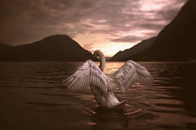 Queen of the lake by Peggy Saffrie