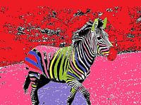 Oh mon zèbre coloré par Elle Hart