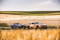 Mercedes GT AMG Roadster vs BMW i8 Roadster