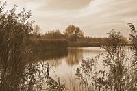 Dobbenplas in Sepia