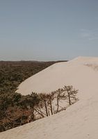 La plus grande dune d'Europe