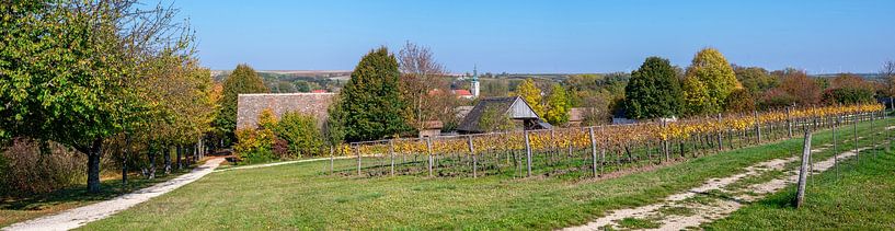 L'automne dans le Weinviertel par Leopold Brix