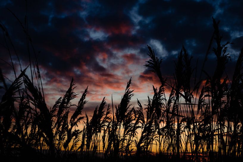 Kleur in de lucht van Lies Callemeyn