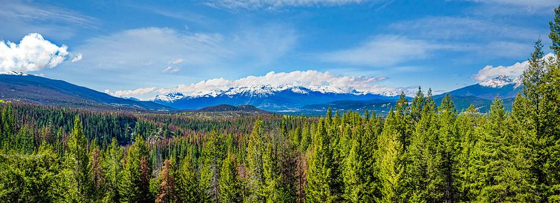 Viewpoint near Maligne Canyon, Canada by Rietje Bulthuis