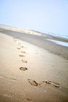 My Summer Beachsteps