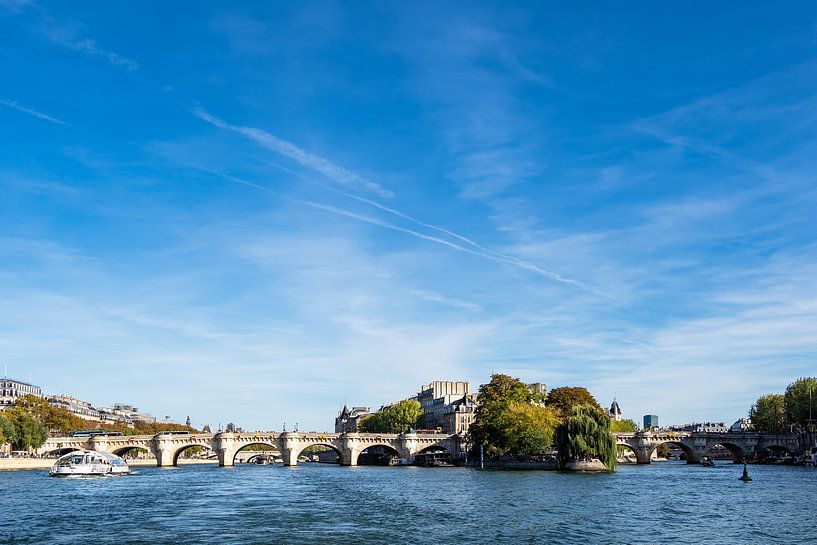 Blick auf die Brücke Pont Neuf in Paris, Frankreich van Rico Ködder