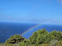 L'arc-en-ciel à l'horizon