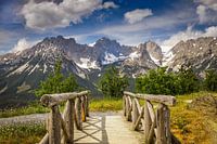 Wild Emperor (Wilder Kaiser)