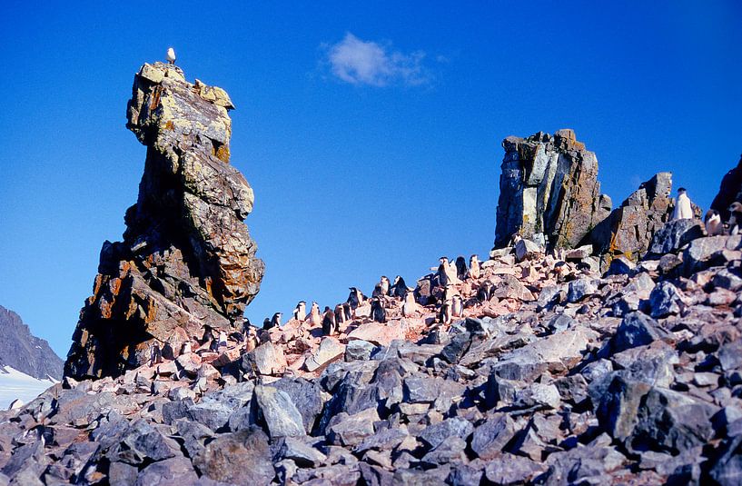 Half Moon Island - Analoge Fotografie! von Tom River Art