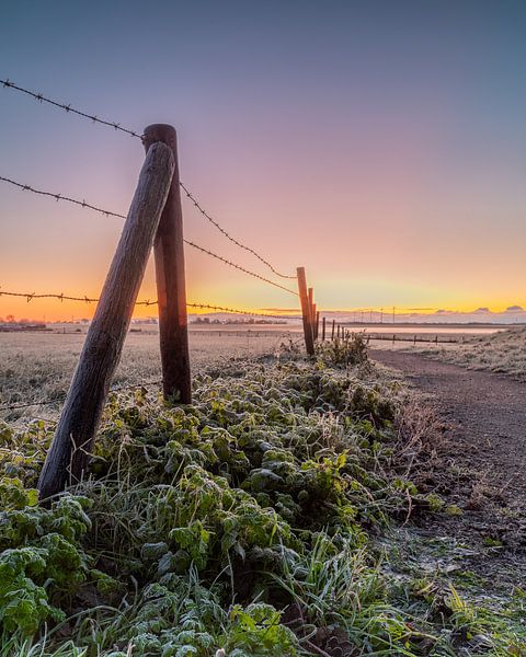 Clôture et chemin à Westerland par une froide matinée de décembre par Bram Lubbers