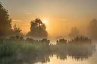 Un magnifique lever de soleil dans le cadre aquatique de Grouw