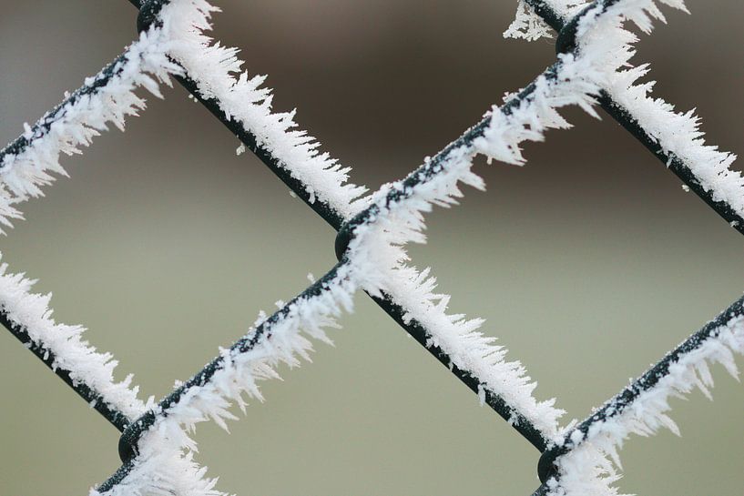 Frozen zaun von Johan  van Polen