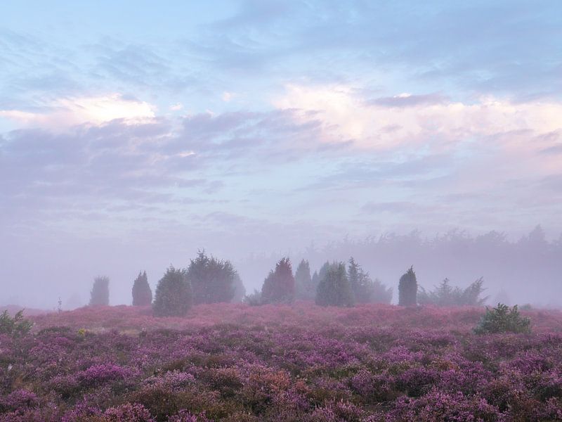 Beratung von snippefotografie