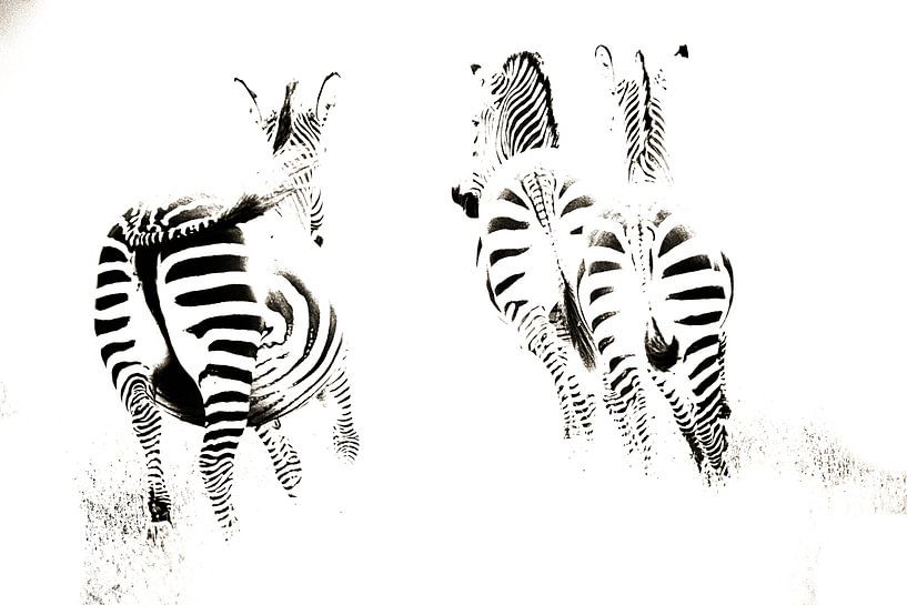 Zwart wit by Ries IJsseldijk