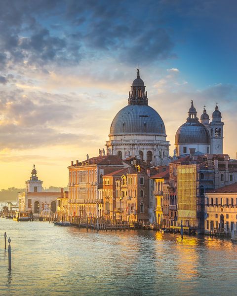 Kirche Santa Maria della Salute im Canal Grande, Venedig von Stefano Orazzini