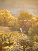 Hügellandschaft in Südlimburg