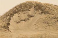 duin foto van de duinstrook vanaf het strand