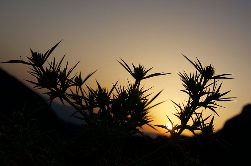 Provence. Sunset by Willem Holle WHOriginal Fotografie