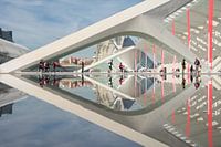 Spiegeling der wetenschap