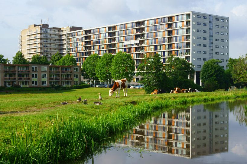 Holland par Michel van Kooten