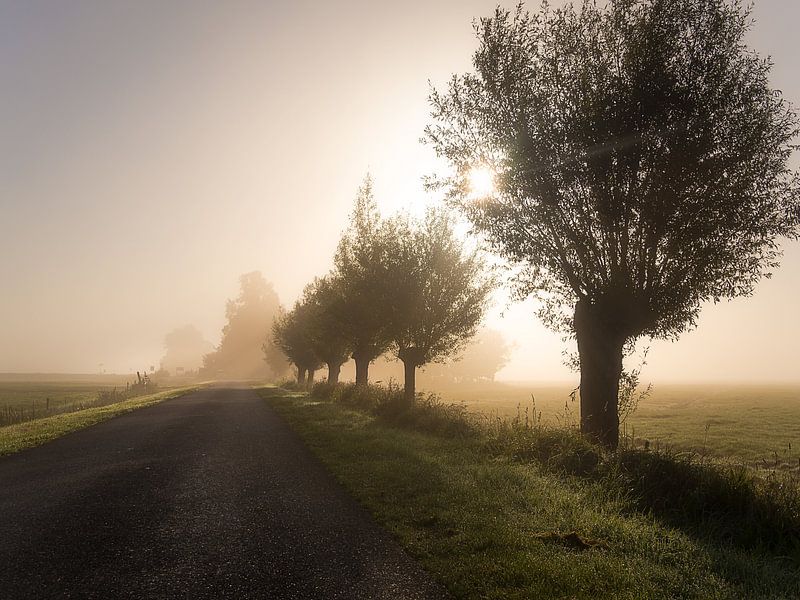 Foggy country road by Roelof Nijholt