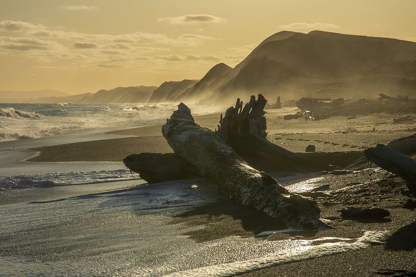 Sunset over the beach with trees washed ashore in New Zealand by Paul van Putten