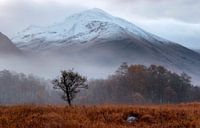 A foggy autumn morning at the foot of the Ben Navis in Scotland