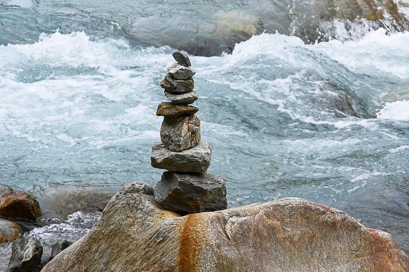 Ziegler 1 von Martin Baartmans