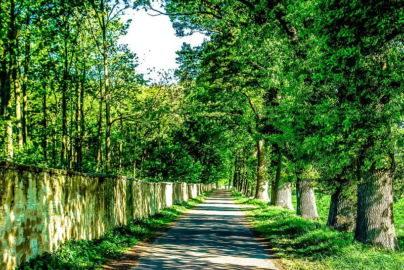 Bike Tour, Cycling by Norbert Sülzner