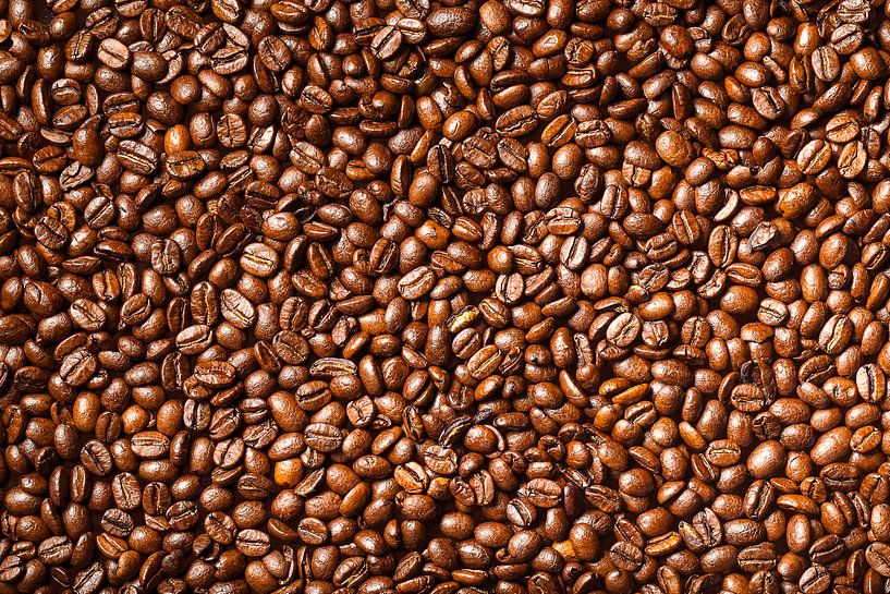 Kaffeebohnen von Victor van Dijk