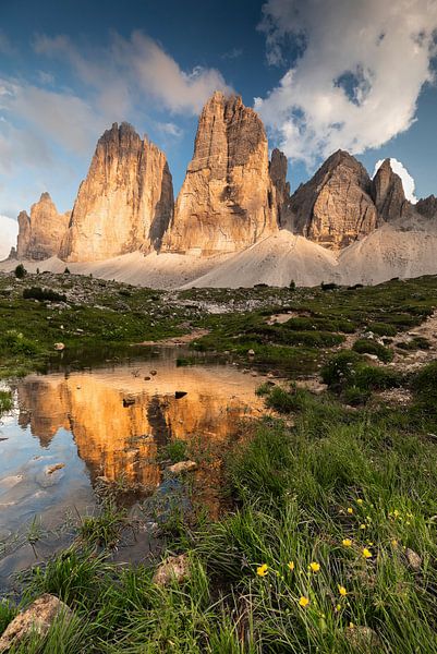 Reflexionen von Anselm Ziegler Photography