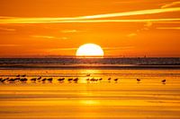 Sunrise Terschelling