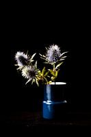 Three blue thistles in vase