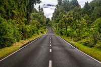 Weg door Nieuw Zeelandse natuur 
