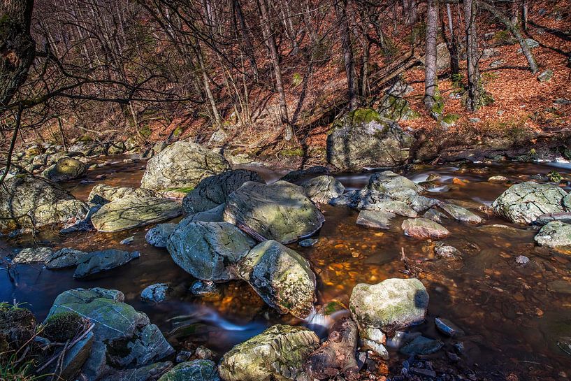 Rivière de montagne La Hoëgne par Rob Boon