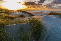 Sunset in the dunes