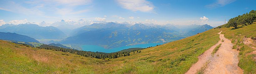 sentier de randonnée à la crête du Niederhorn, paysage suisse par SusaZoom