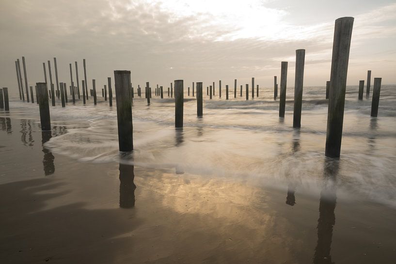 Palmendorf bei Petten von Wiel Arets