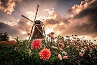 Sonnenuntergang auf der Piepermolen in Rekken