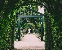 Liebe zusammen regen grünen Regenschirm